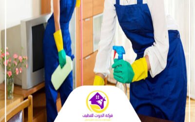 شركة تنظيف منازل في العين 0501816457 خصم 20%