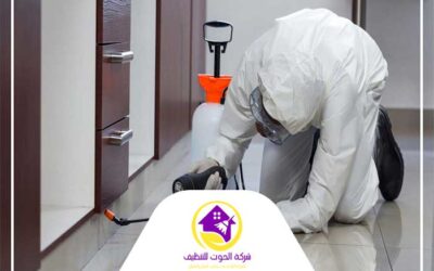 مكافحة حشرات المطبخ دبي 0501816457
