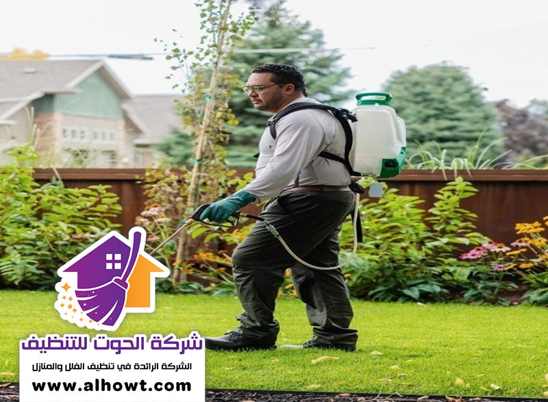مكافحة حشرات في دبي مكافحة حشرات في دبي