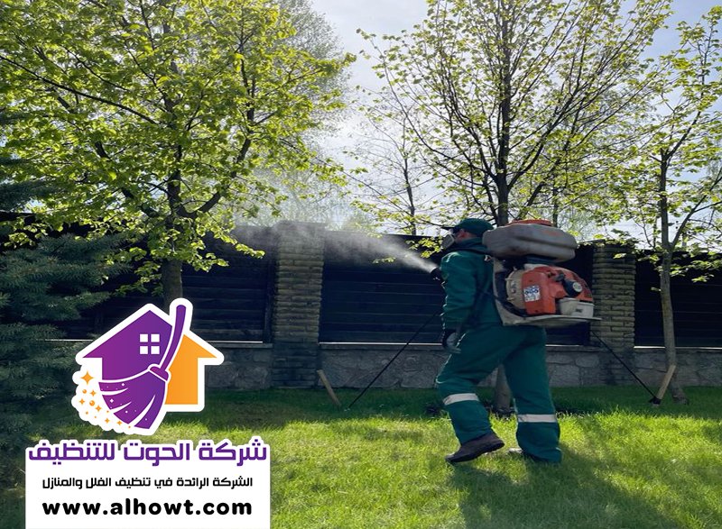 مكافحة حشرات في دبي مكافحة حشرات في دبي