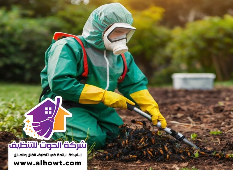 مكافحة حشرات في دبي مكافحة حشرات في دبي