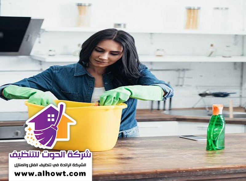 شركة تنظيف منازل في الشارقة شركة تنظيف منازل في الشارقة