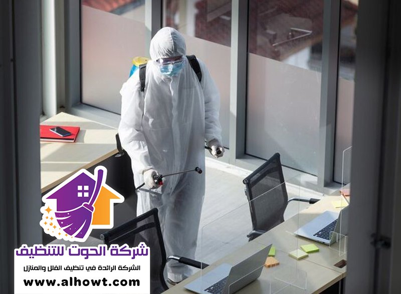 مكافحة حشرات في الفجيرة