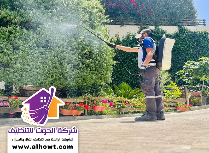 مكافحة حشرات في ابوظبي مكافحة حشرات في ابوظبي