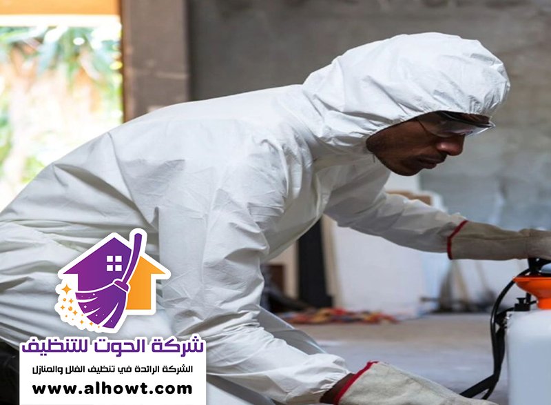 مكافحة حشرات في ابوظبي مكافحة حشرات في ابوظبي