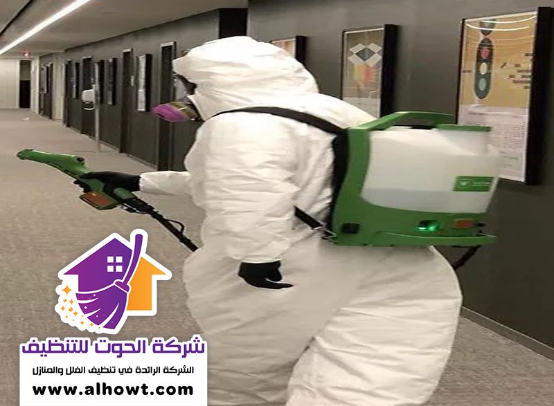 مكافحة حشرات في ابوظبي مكافحة حشرات في ابوظبي