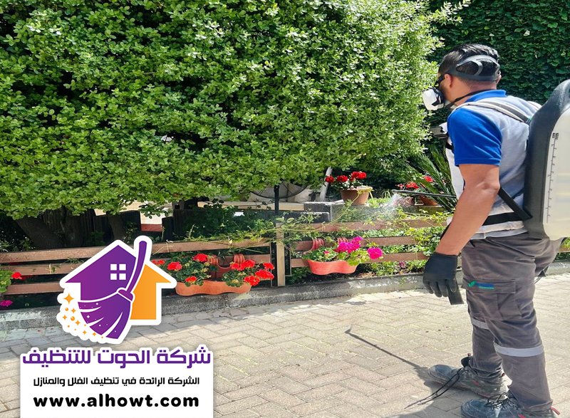 مكافحة حشرات في ابوظبي مكافحة حشرات في ابوظبي