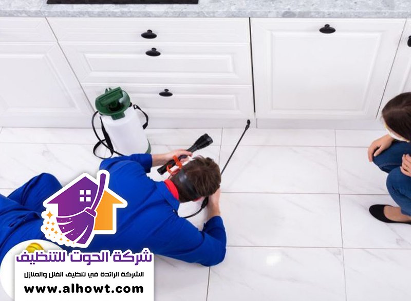 مكافحة حشرات في راس الخيمة مكافحة حشرات في راس الخيمة