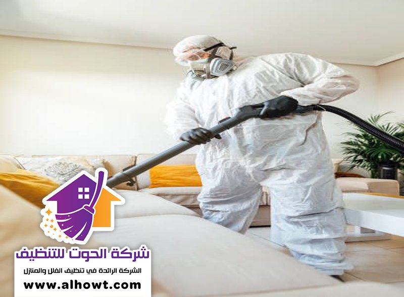 مكافحة حشرات في راس الخيمة مكافحة حشرات في راس الخيمة