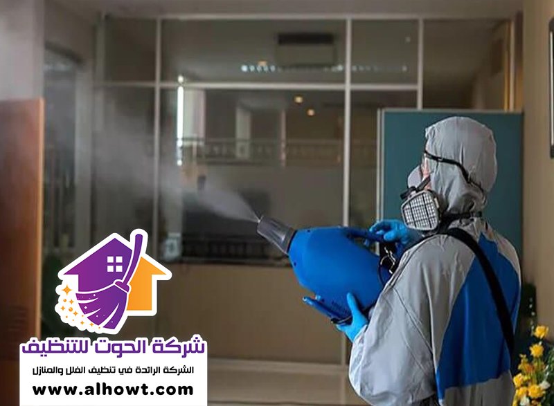 مكافحة حشرات في راس الخيمة مكافحة حشرات في راس الخيمة