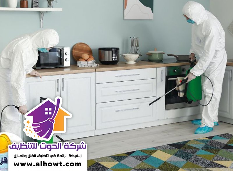 مكافحة حشرات في راس الخيمة مكافحة حشرات في راس الخيمة