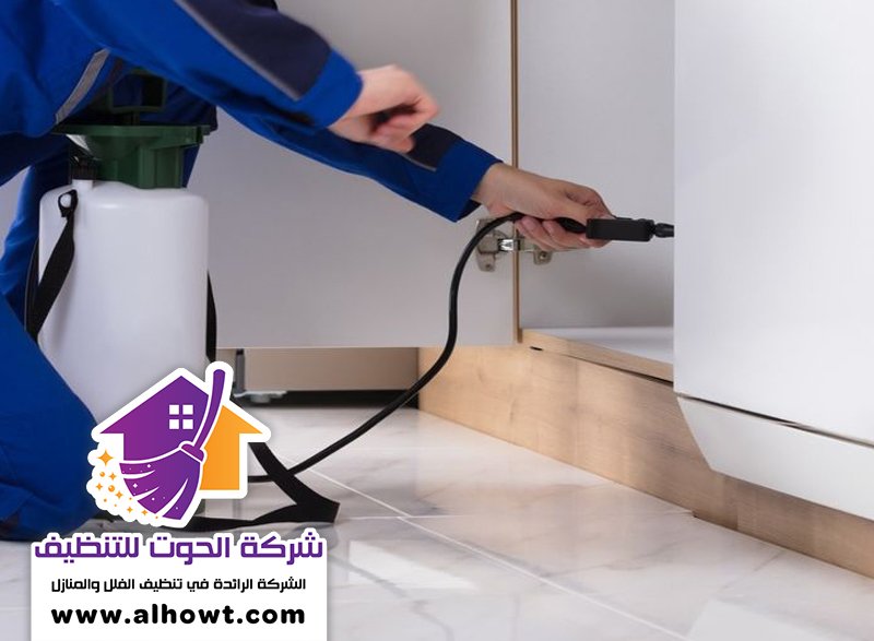 مكافحة حشرات في الشارقة مكافحة حشرات في الشارقة