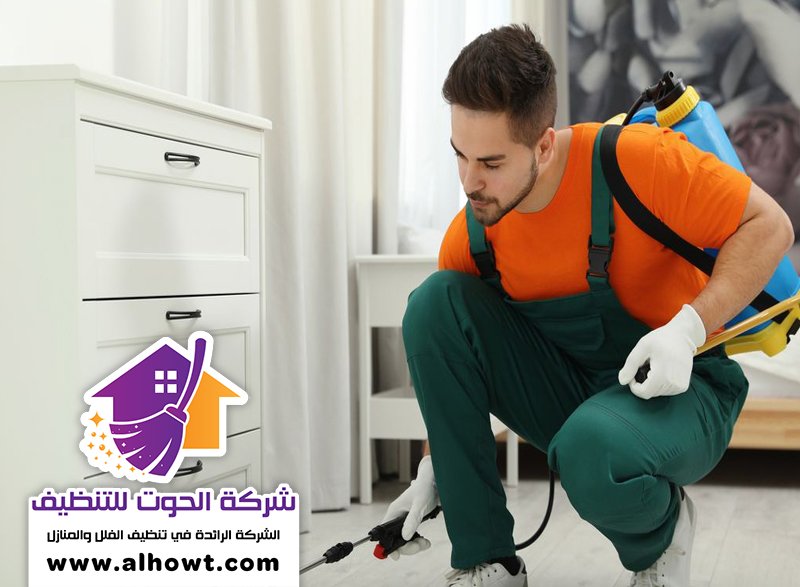 مكافحة حشرات في الشارقة مكافحة حشرات في الشارقة