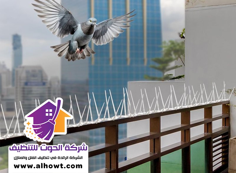 مكافحة الحمام في ابوظبي