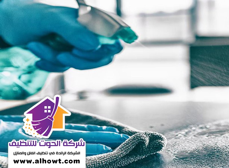 شركة تنظيف منازل في العين شركة تنظيف منازل في العين