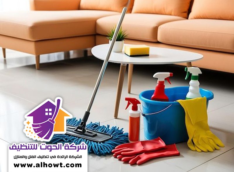 شركة تنظيف منازل في العين شركة تنظيف منازل في العين