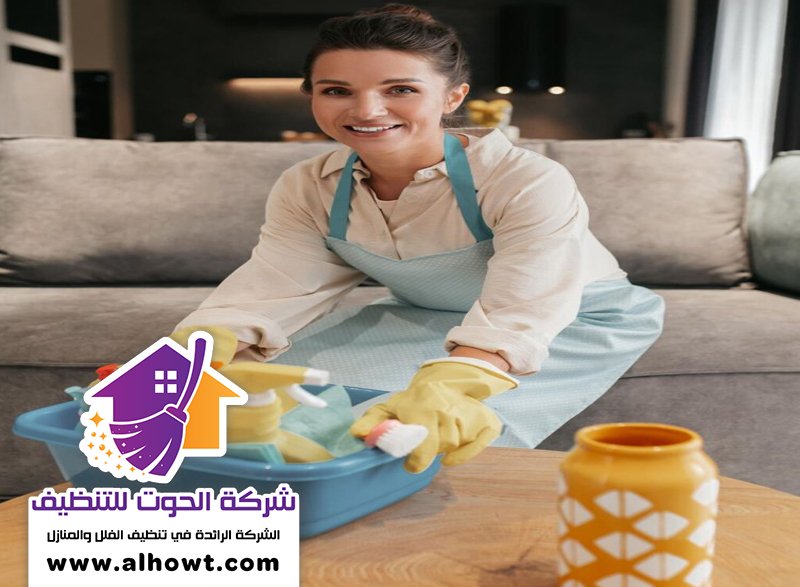 شركة تنظيف في الليسيلي شركة تنظيف في الليسيلي