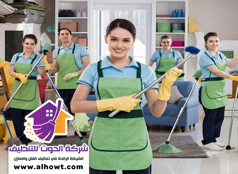 شركة تنظيف في لهباب شركة تنظيف في لهباب