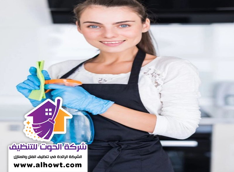 شركة تنظيف في الناصرية