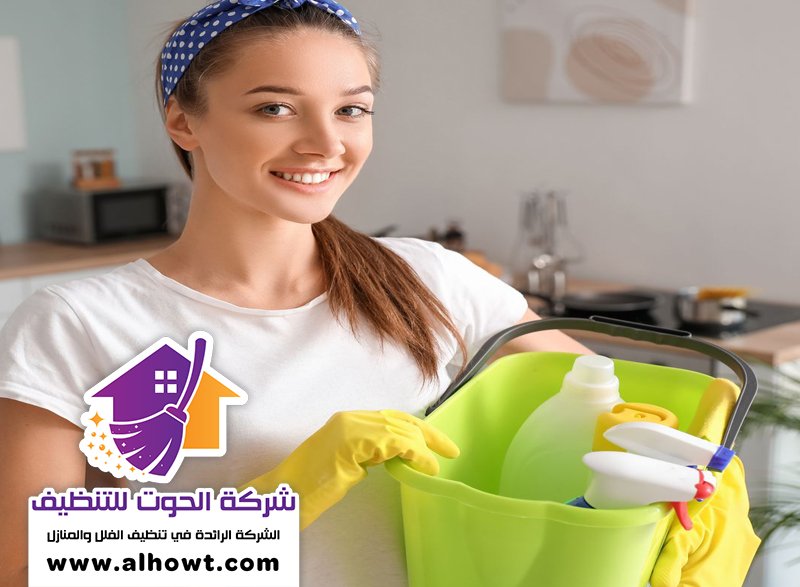شركة تنظيف في الفشت شركة تنظيف في الفشت
