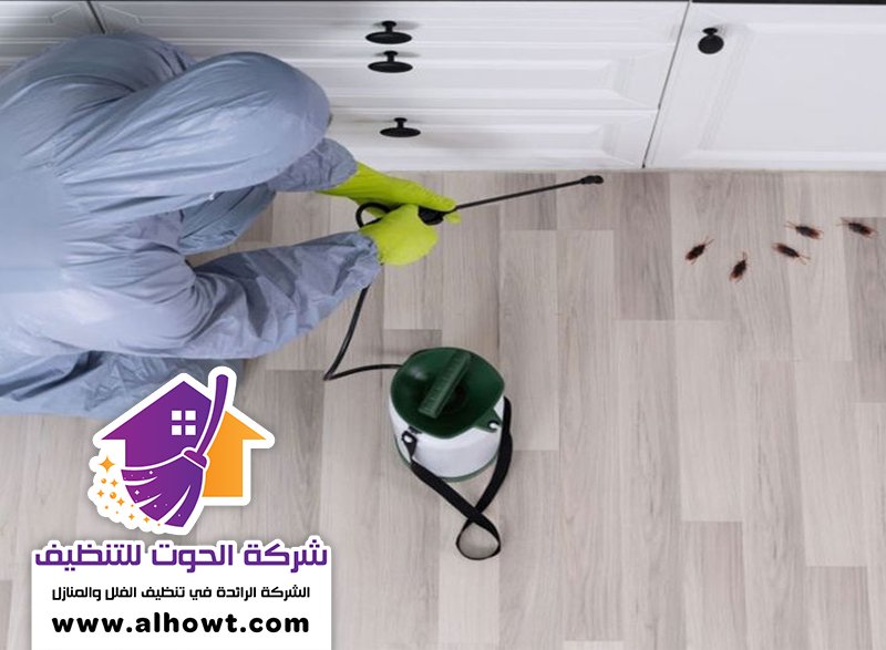 مكافحة حشرات المطبخ دبي
