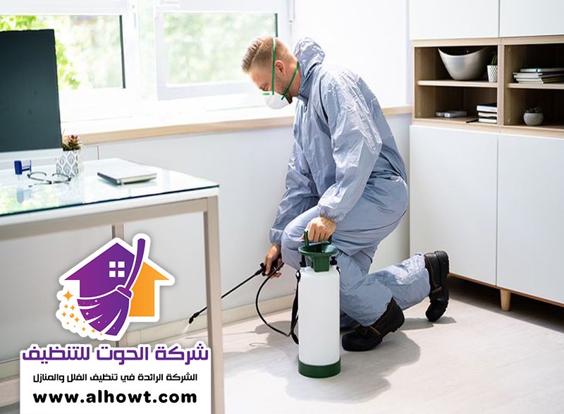 مكافحة حشرات المطبخ دبي مكافحة حشرات المطبخ دبي