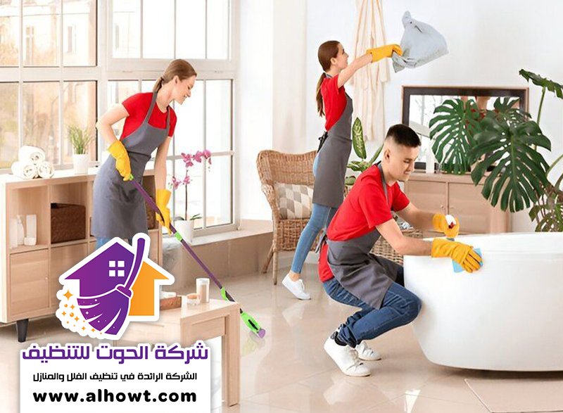 شركات تنظيف فلل بالإمارات شركات تنظيف فلل بالإمارات
