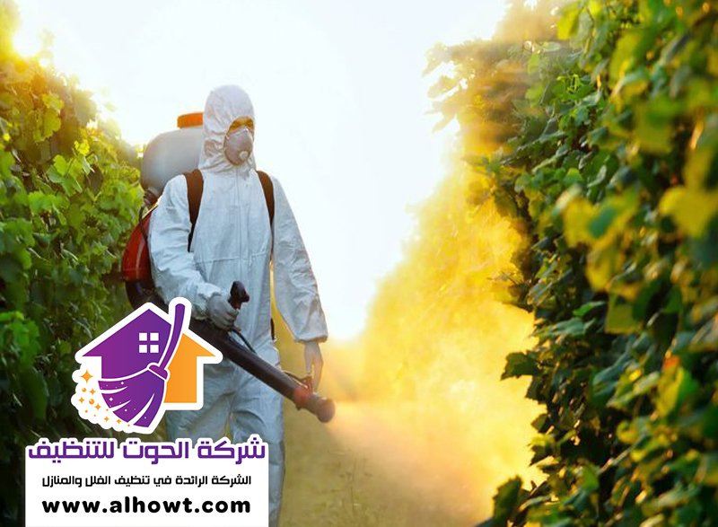 شركة رش مبيدات ابوظبي شركة رش مبيدات ابوظبي
