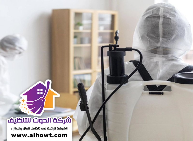 مكافحة حشرات في العين مكافحة حشرات في العين