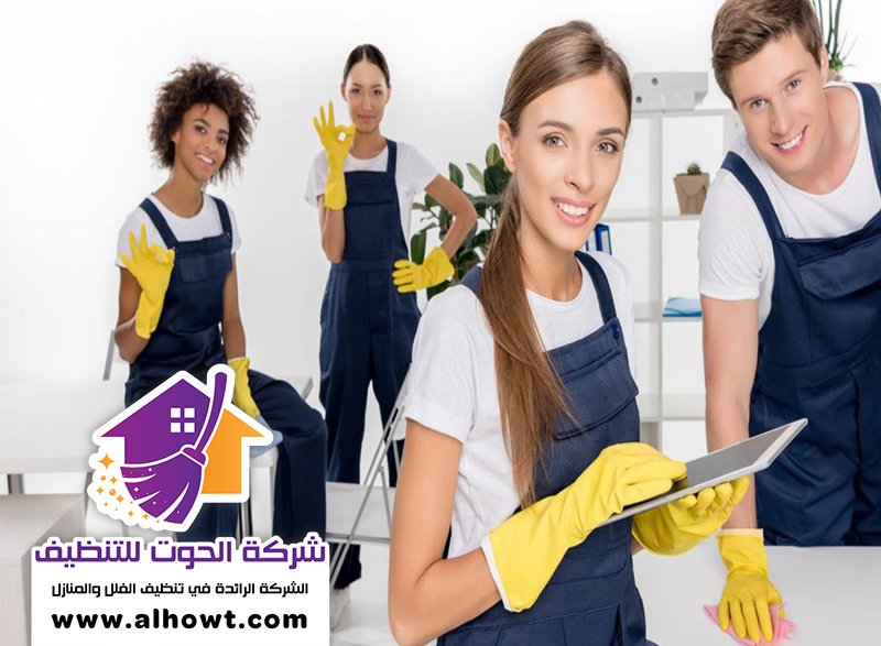شركات تنظيف الفلل دبي شركات تنظيف الفلل دبي