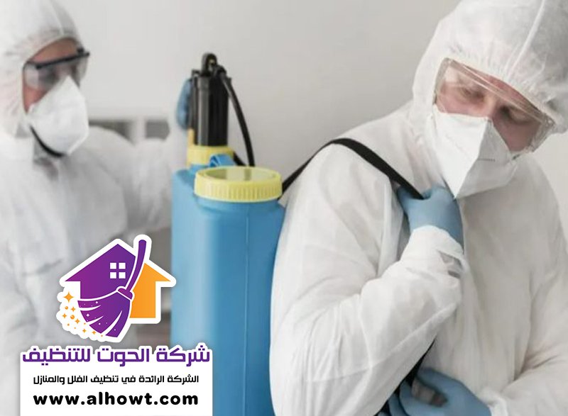 مكافحة حشرات في العين مكافحة حشرات في العين