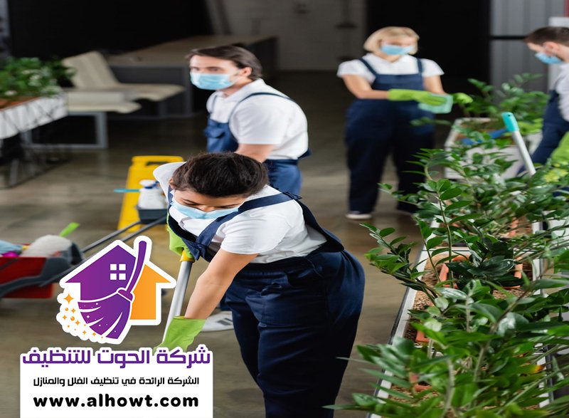 شركة تنظيف في الجميرا شركة تنظيف في الجميرا