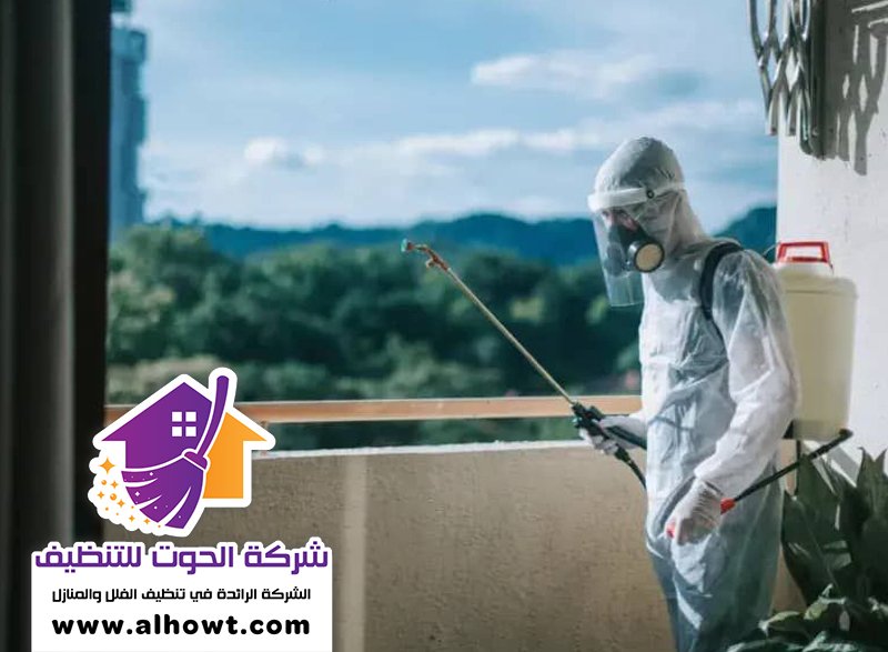 مكافحة حشرات في أم القيوين مكافحة حشرات في أم القيوين