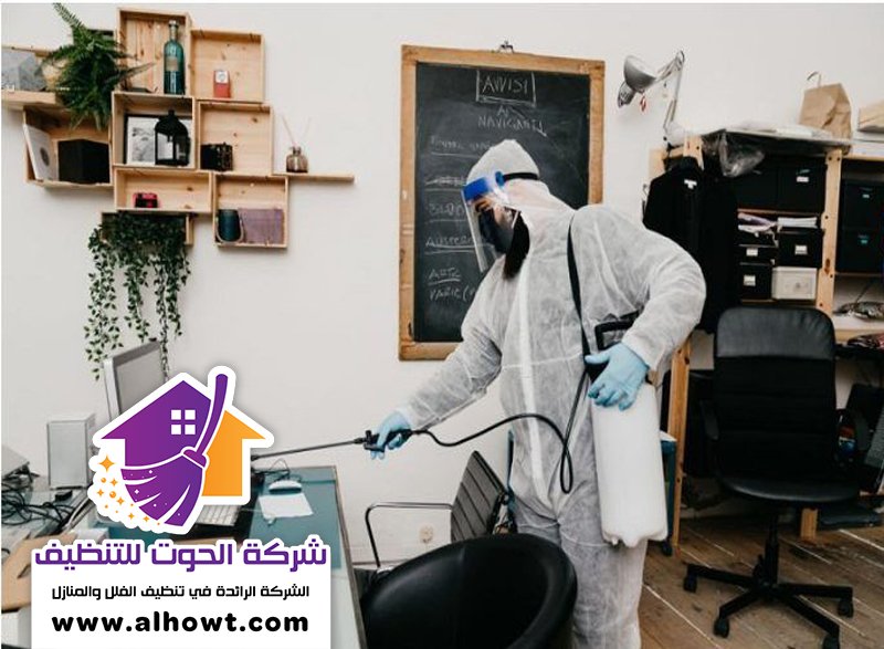 مكافحة حشرات في أم القيوين مكافحة حشرات في أم القيوين