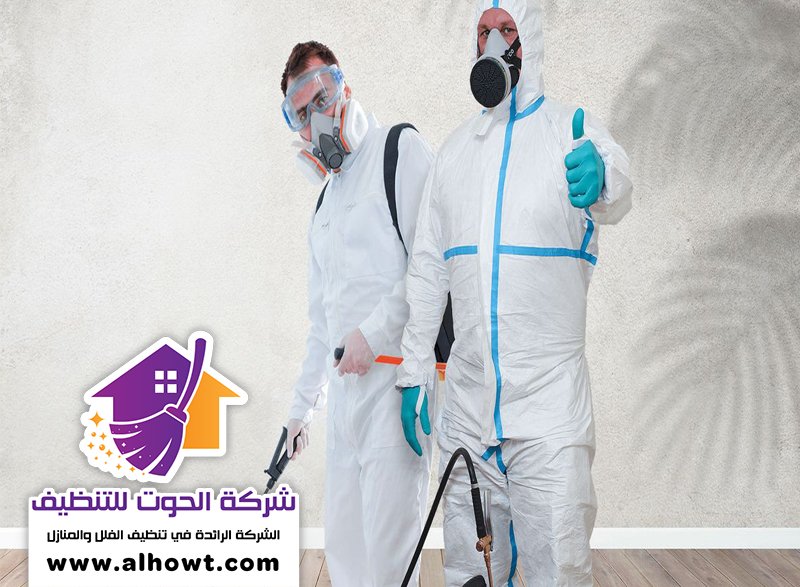 مكافحة حشرات في أم القيوين مكافحة حشرات في أم القيوين