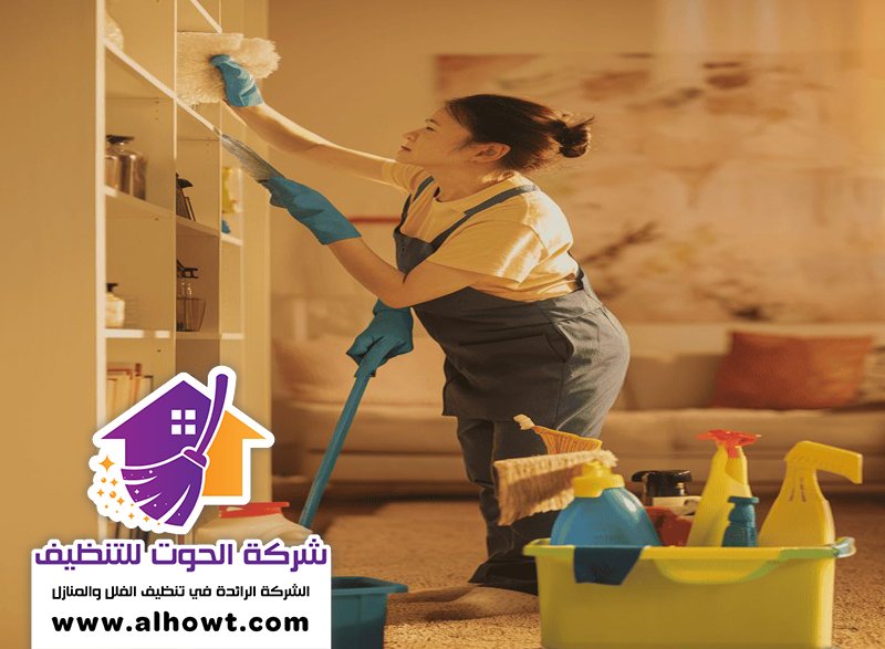 شركة تنظيف الفلل المرر شركة تنظيف الفلل المرر
