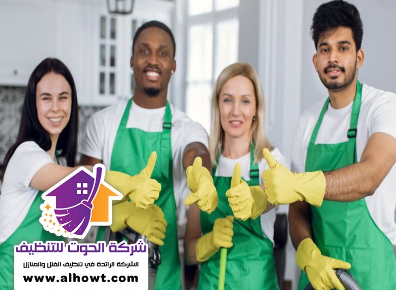 شركة تنظيف الفلل محيصنة شركة تنظيف الفلل محيصنة