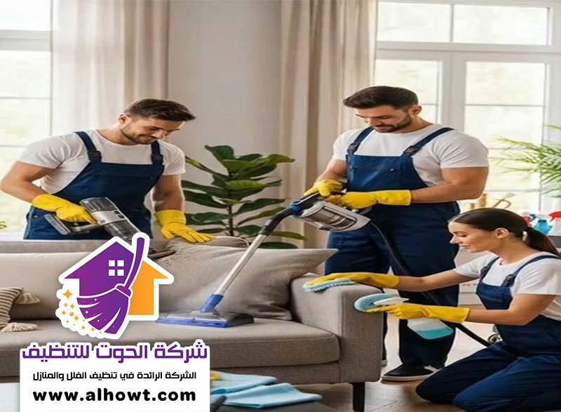 شركة تنظيف الفلل محيصنة شركة تنظيف الفلل محيصنة