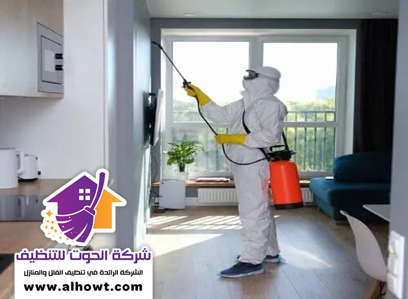 شركة تعقيم في ام القيوين شركة تعقيم في ام القيوين