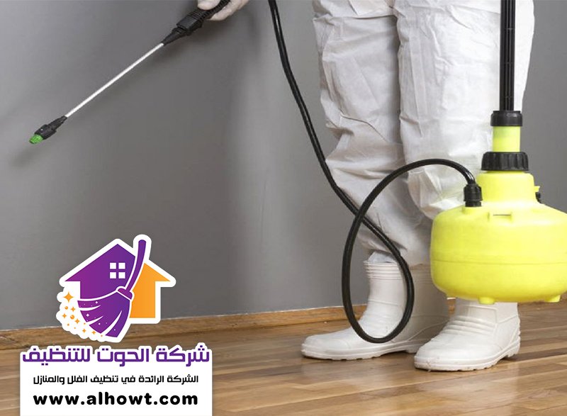 شركة تعقيم في عجمان شركة تعقيم في عجمان