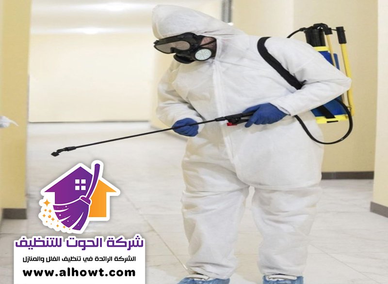 شركة تعقيم في عجمان شركة تعقيم في عجمان