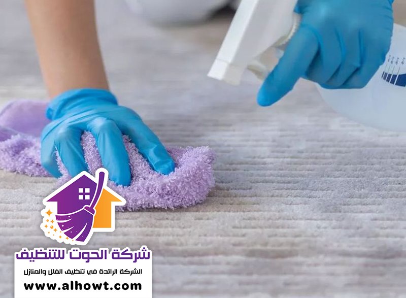 شركة تنظيف مفروشات في الفجيرة شركة تنظيف مفروشات في الفجيرة