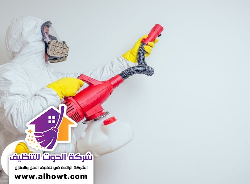 شركة تعقيم في راس الخيمة شركة تعقيم في راس الخيمة
