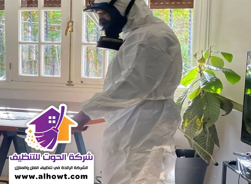 شركة تعقيم في ام القيوين