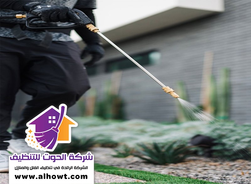 مكافحة حشرات في ام القيوين مكافحة حشرات في ام القيوين