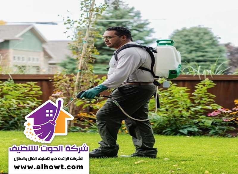 مكافحة حشرات في ام القيوين مكافحة حشرات في ام القيوين