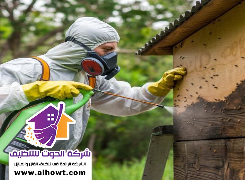 مكافحة حشرات في عجمان مكافحة حشرات في عجمان