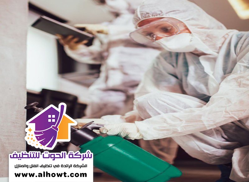 مكافحة حشرات في عجمان مكافحة حشرات في عجمان