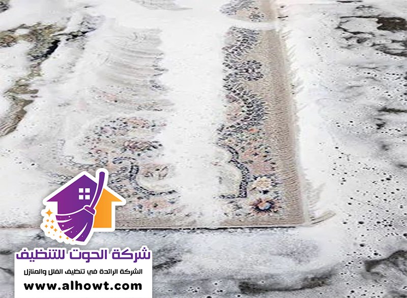 شركة تنظيف سجاد في الفجيرة شركة تنظيف سجاد في الفجيرة